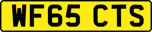 WF65CTS