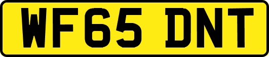 WF65DNT