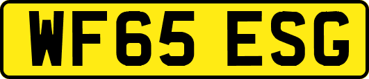 WF65ESG