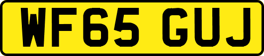 WF65GUJ