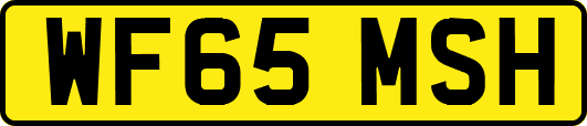 WF65MSH