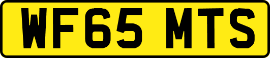 WF65MTS