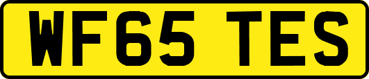 WF65TES