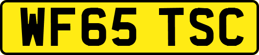 WF65TSC