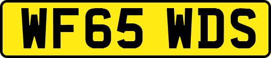 WF65WDS