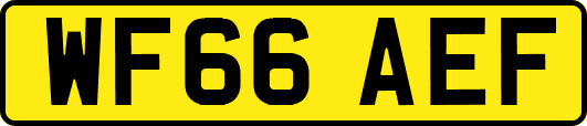 WF66AEF