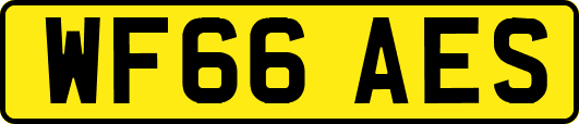 WF66AES