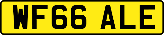WF66ALE