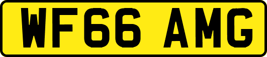 WF66AMG