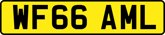 WF66AML