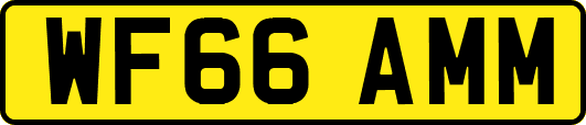 WF66AMM