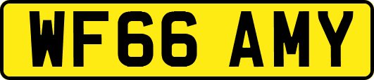 WF66AMY