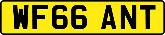 WF66ANT