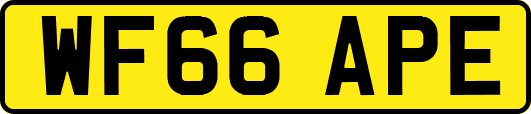 WF66APE