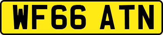 WF66ATN