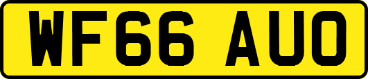 WF66AUO