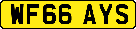 WF66AYS