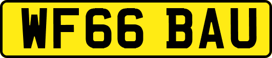 WF66BAU