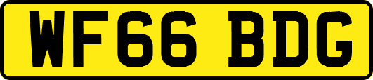 WF66BDG