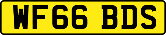 WF66BDS