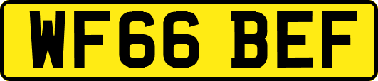 WF66BEF
