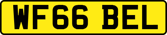 WF66BEL