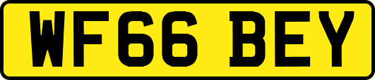 WF66BEY