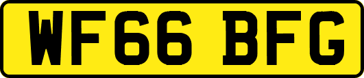 WF66BFG