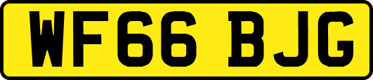 WF66BJG