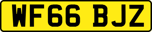 WF66BJZ
