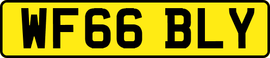 WF66BLY