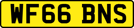 WF66BNS