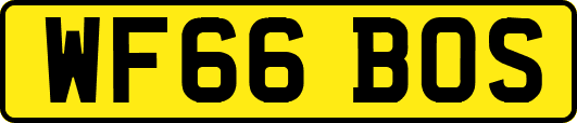 WF66BOS