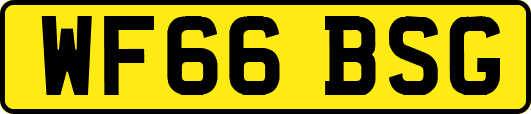 WF66BSG