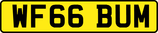 WF66BUM
