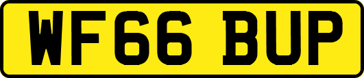WF66BUP