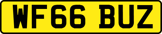 WF66BUZ