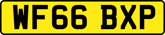WF66BXP