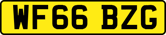 WF66BZG