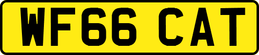 WF66CAT