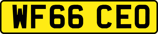 WF66CEO