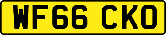 WF66CKO