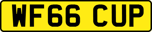 WF66CUP