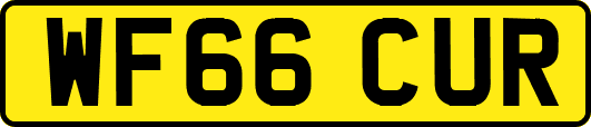 WF66CUR
