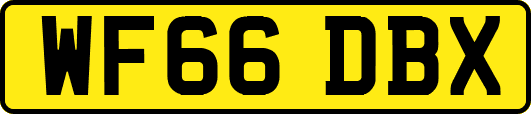 WF66DBX