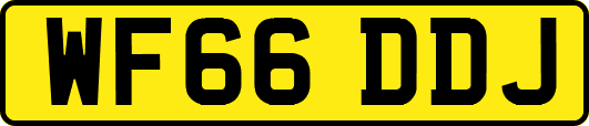 WF66DDJ