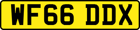 WF66DDX