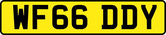 WF66DDY