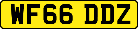 WF66DDZ