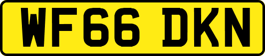 WF66DKN